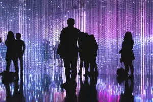 immersive art exhibits